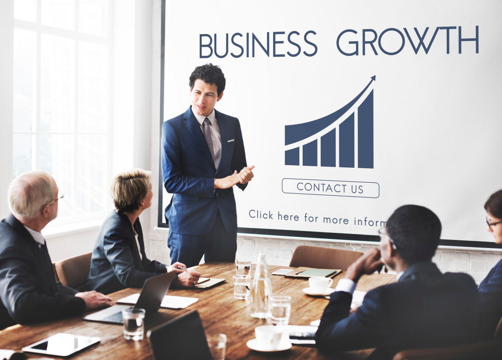 Business Growth Consultant Services